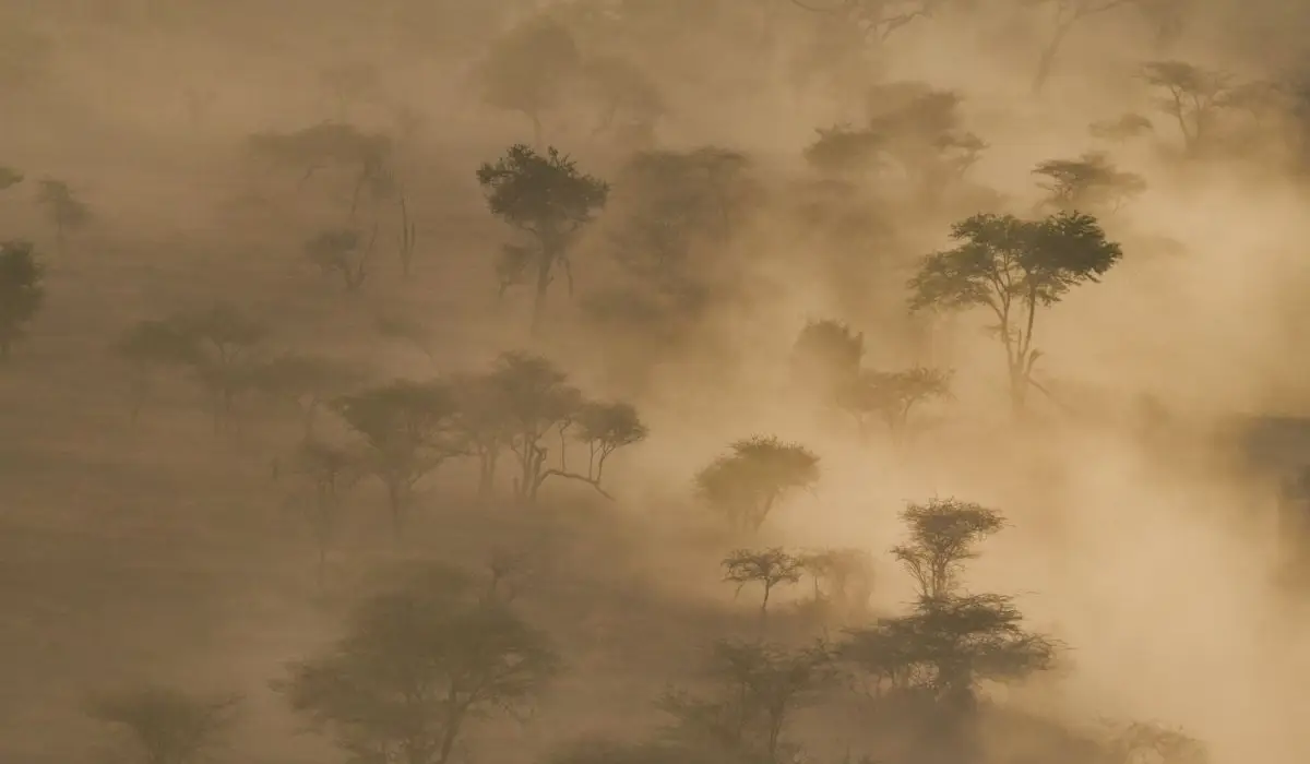 Tanzania - Stimmungsbild