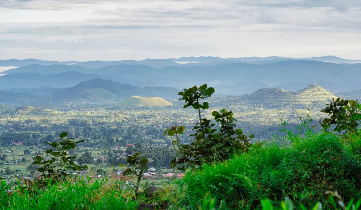 Landschaftsbild Uganda